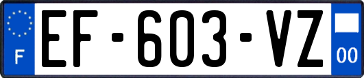 EF-603-VZ