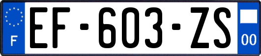 EF-603-ZS