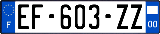 EF-603-ZZ