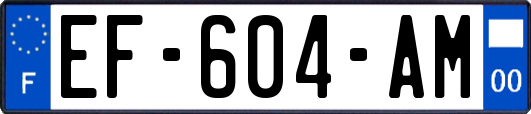 EF-604-AM