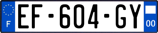 EF-604-GY