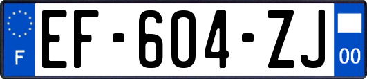 EF-604-ZJ