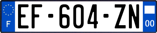 EF-604-ZN