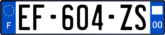 EF-604-ZS