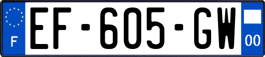 EF-605-GW
