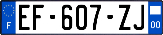 EF-607-ZJ