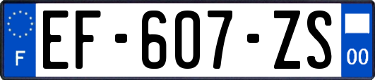 EF-607-ZS