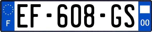 EF-608-GS