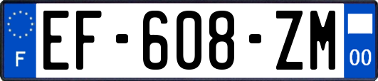 EF-608-ZM