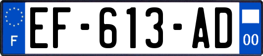 EF-613-AD