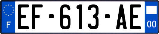 EF-613-AE