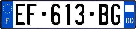 EF-613-BG