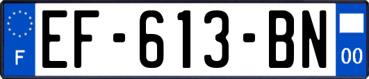 EF-613-BN
