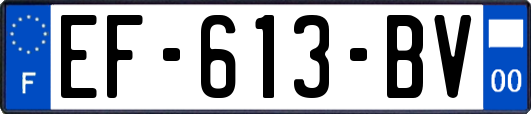 EF-613-BV