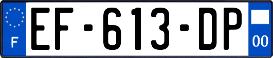 EF-613-DP