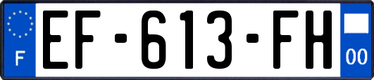 EF-613-FH