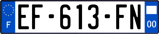 EF-613-FN
