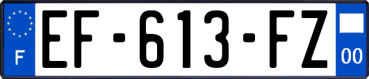 EF-613-FZ