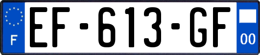 EF-613-GF