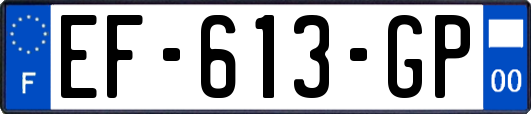 EF-613-GP