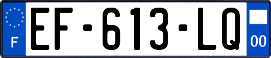 EF-613-LQ