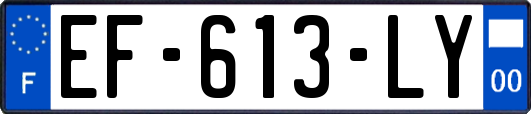 EF-613-LY