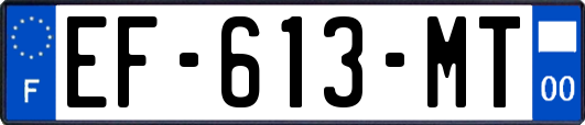 EF-613-MT