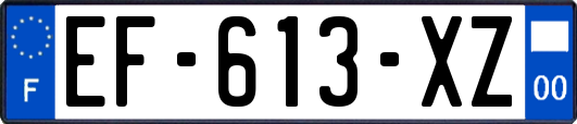 EF-613-XZ