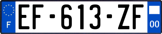 EF-613-ZF