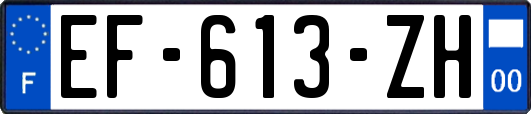 EF-613-ZH