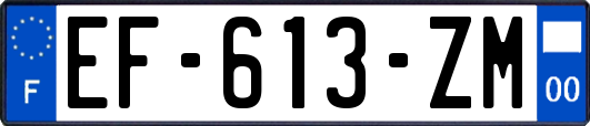 EF-613-ZM