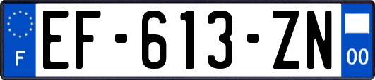 EF-613-ZN