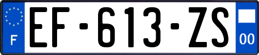 EF-613-ZS