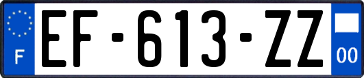 EF-613-ZZ