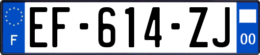 EF-614-ZJ