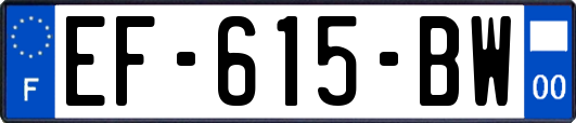 EF-615-BW