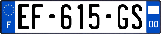 EF-615-GS