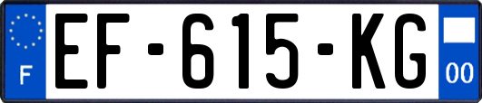 EF-615-KG