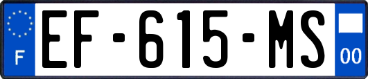 EF-615-MS