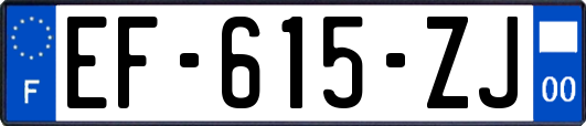 EF-615-ZJ