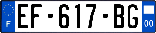 EF-617-BG