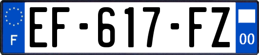 EF-617-FZ
