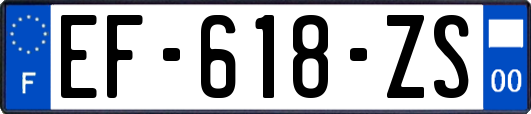 EF-618-ZS