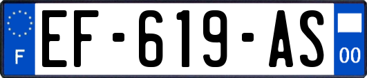 EF-619-AS