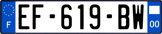 EF-619-BW