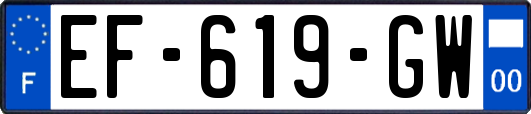 EF-619-GW