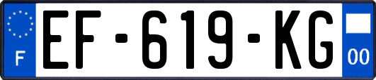 EF-619-KG