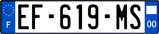 EF-619-MS