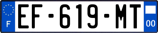 EF-619-MT