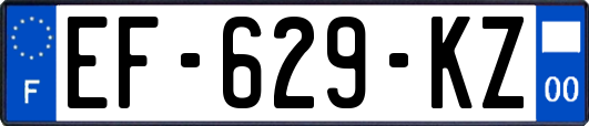 EF-629-KZ
